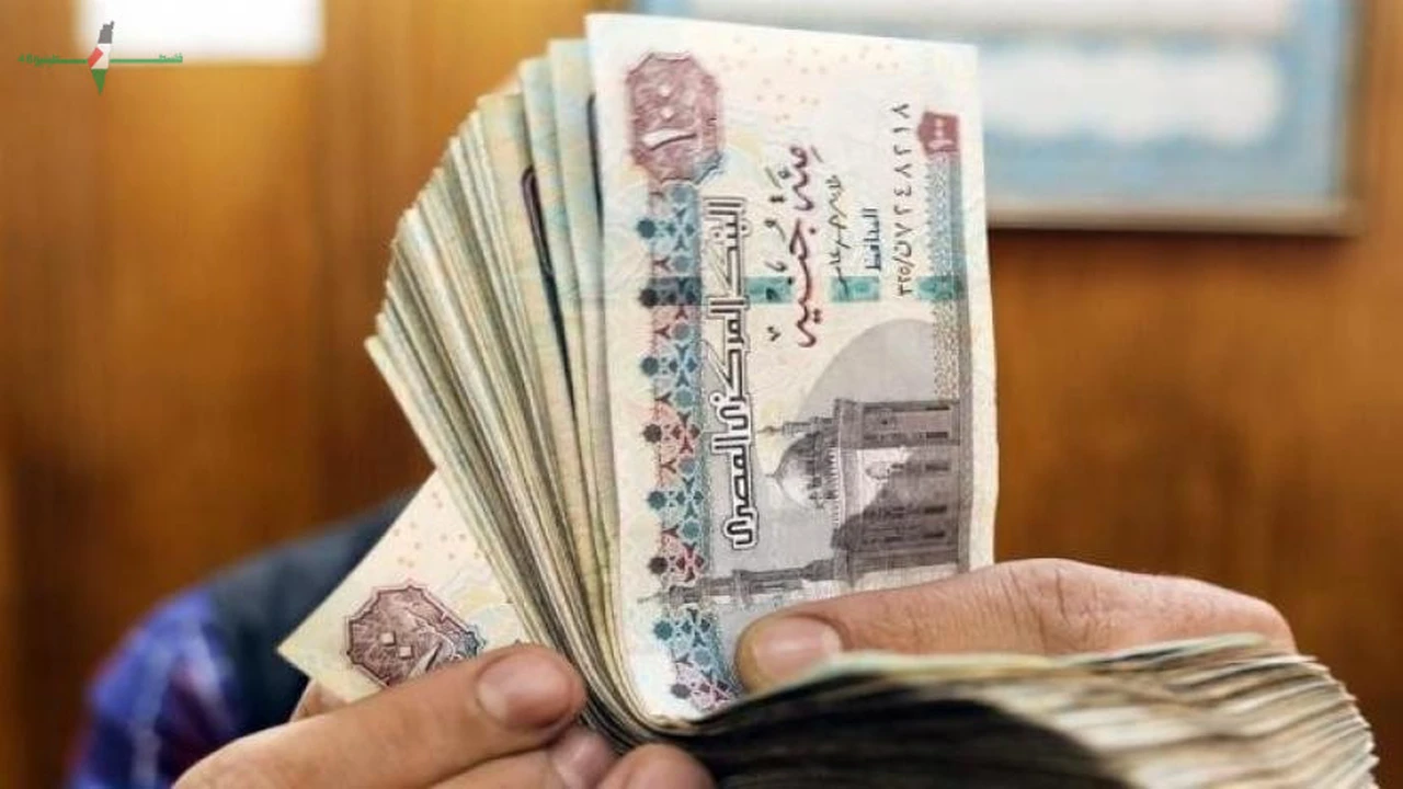 سعر صرف الدولار واليورو في السوق السوداء بمصر اليوم الخميس